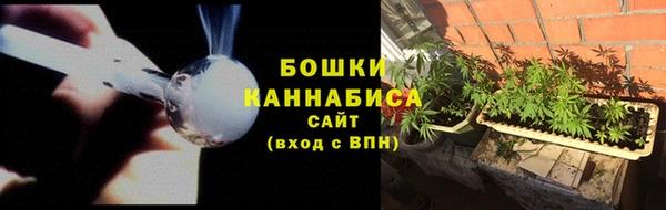 молекула духа Аркадак