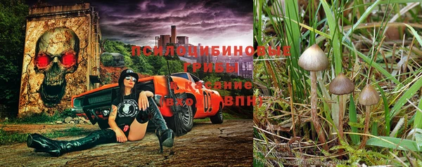 круглые Лагань
